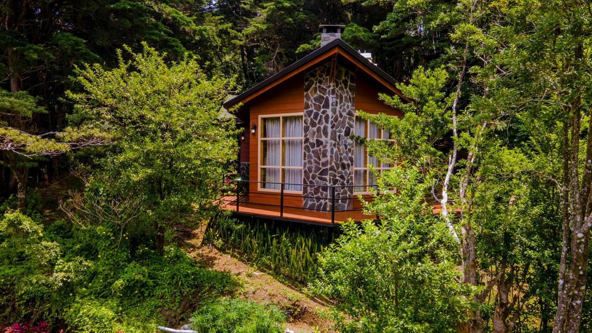 Los Pinos Cabins & Reserve Monteverde Zewnętrze zdjęcie