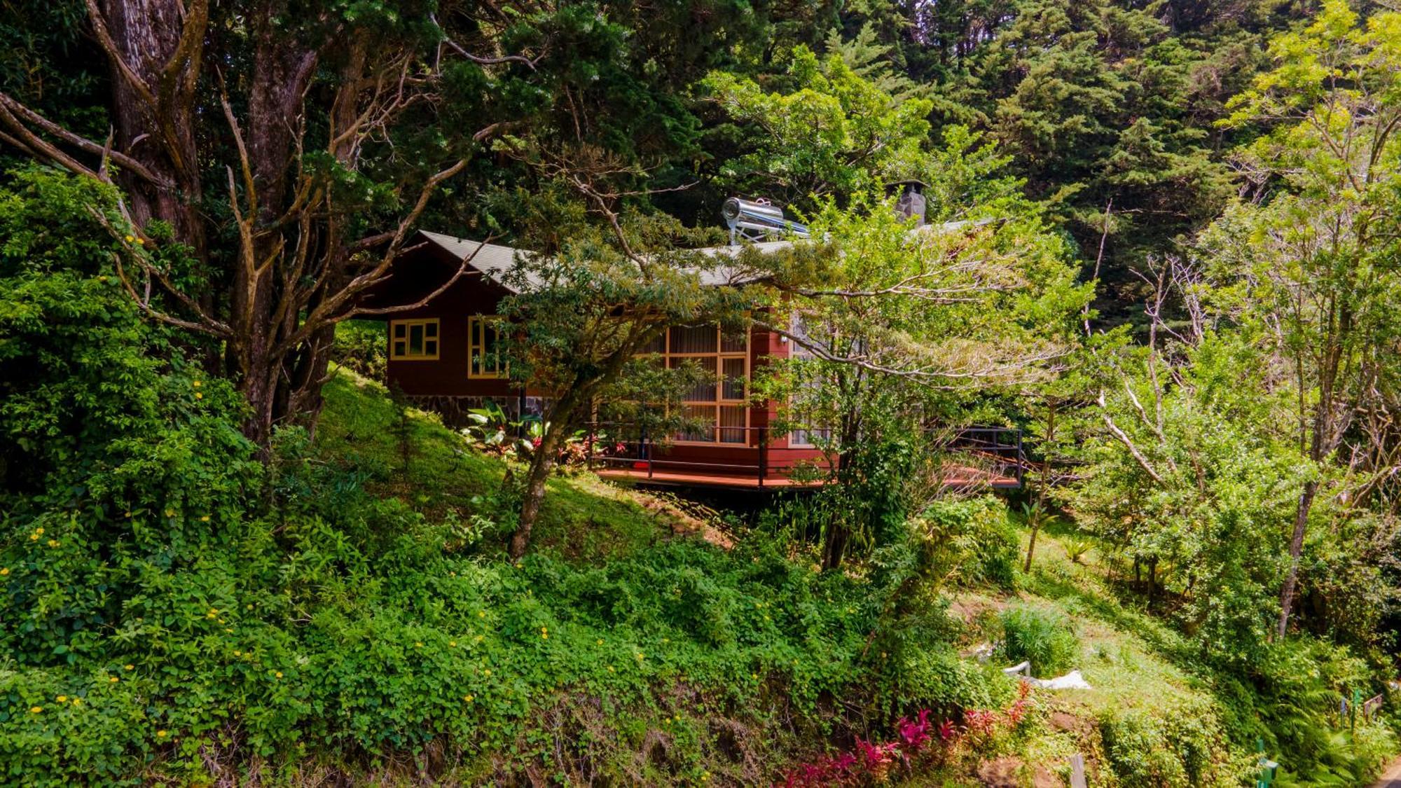 Los Pinos Cabins & Reserve Monteverde Zewnętrze zdjęcie