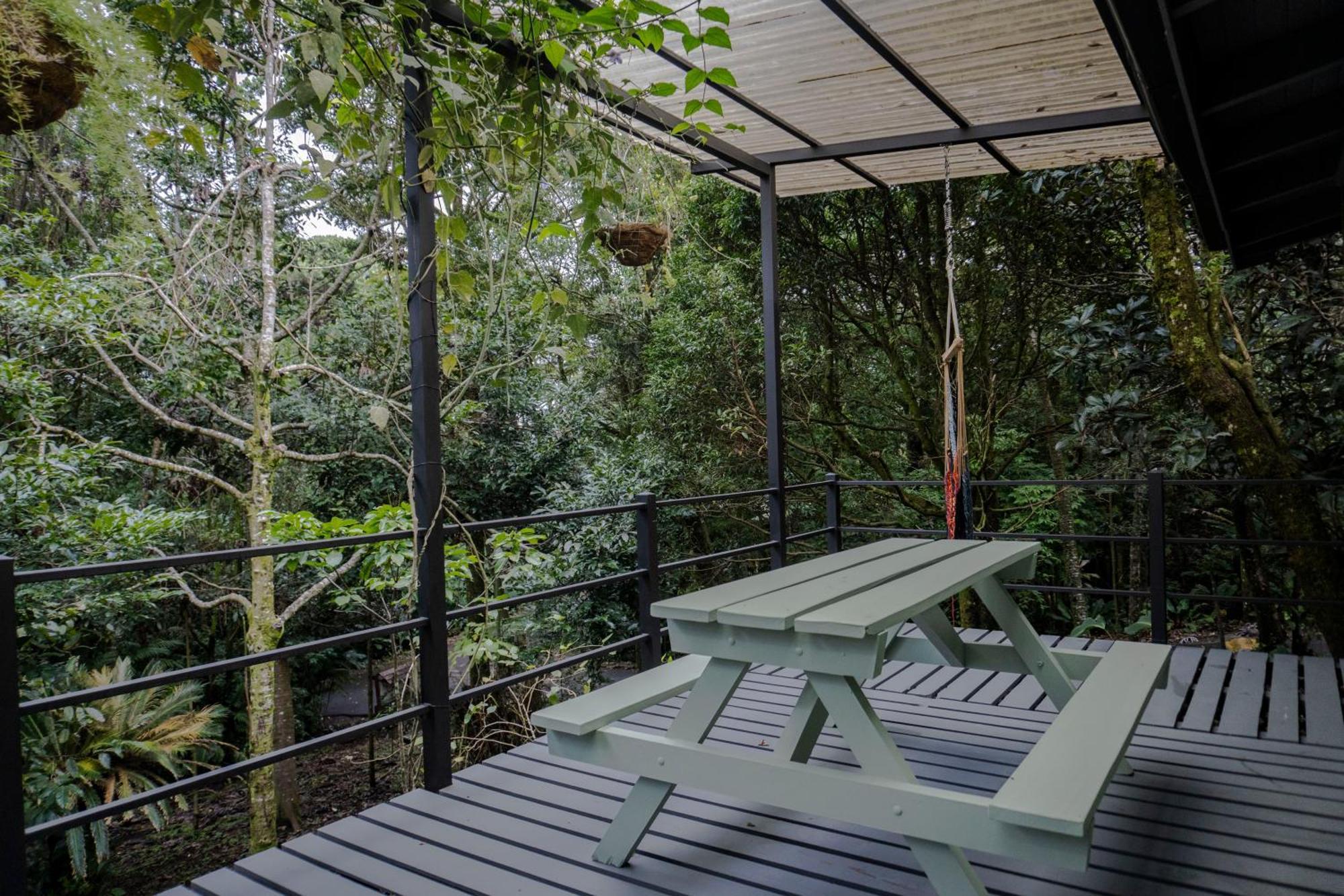 Los Pinos Cabins & Reserve Monteverde Pokój zdjęcie